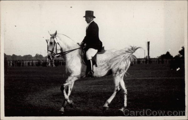 Man Riding White Horse Horses