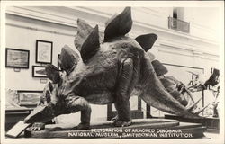 Restoration of Armored Dinosaur, National Museum, Smithsonian Postcard