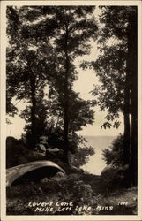 Lovers Lane Mille Lacs Lake, MN Postcard Postcard