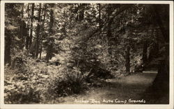Anchor Bay Auto Campgrounds Postcard