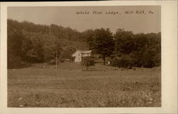 White Pine Lodge Millrift, PA Postcard Postcard