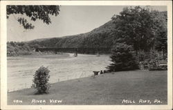 River View Postcard