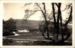 The Ark Jaffrey, NH Postcard Postcard