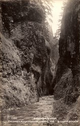 Oneonta Gorge Postcard