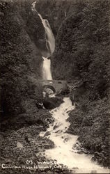 Waukegan Falls Postcard