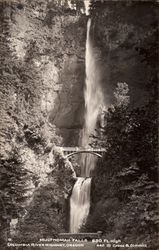 Multnomah Falls Postcard