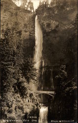 Multnomah Falls Postcard