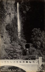 Multnomah Falls Postcard