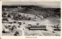 Island Inn and Village Postcard
