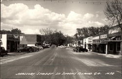 Mallory Street Saint Simons, GA Postcard Postcard