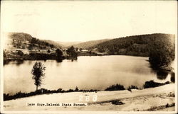 Lake Hope, Zaleski State Forest Ohio Postcard Postcard