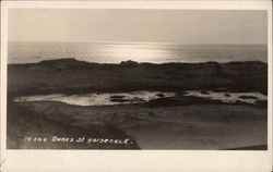 In the Dunes at Horseneck Westport, MA Postcard Postcard