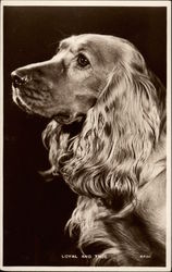 Loyal and True Postcard