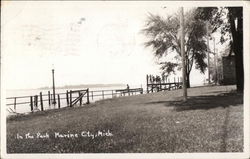 In The Park Postcard