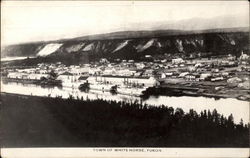 Town of White Horse Yukon Canada Yukon Territory Postcard Postcard