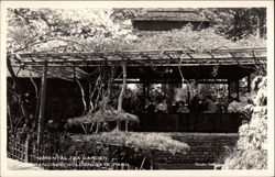 Oriental Tea Garden, Golden Gate Park Postcard