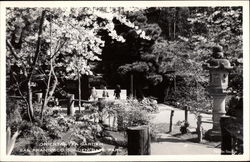 Oriental Tea Garden, Golden Gate Park Postcard