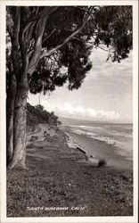 Coast Highway Postcard