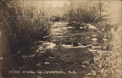 Stony Brook Postcard