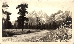 A Roadside Study Grand Teton National Park, WY Postcard Postcard