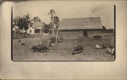 Pigs on the Farm Postcard