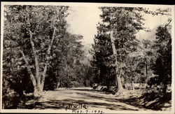 Idyllwildd Postcard