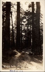 Stock #287814 Thumbnail