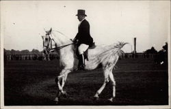Man Riding White Horse Postcard