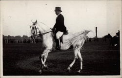 Man Riding White Horse Horses Postcard Postcard