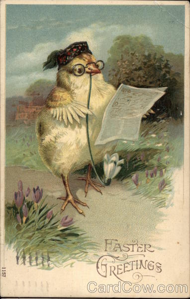 Chick with Classes Reading a Newspaper With Chicks