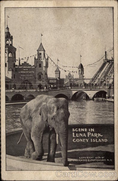 Elephant - Scene in Luna Park, Coney Island New York