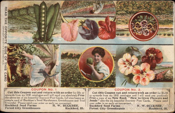 Buckbee's Full of Life Seeds Advertising