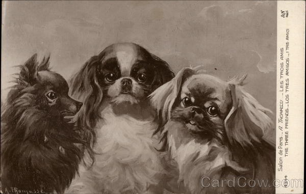 The Three Friends A. Thomassi Dogs