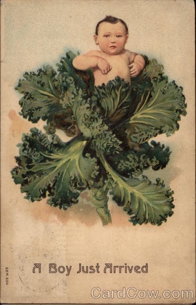 Baby in Head of Lettuce With Children
