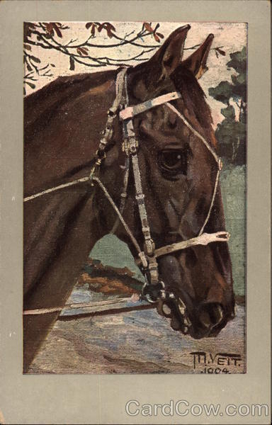 Horse with Harness M. Veit Horses
