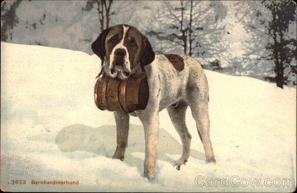 St. Bernard Dog with Whiskey Keg Saint Bernards