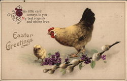 Easter Greetings - Chicken and Chicks Postcard