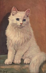 Fluffy White Cat Cats Postcard Postcard