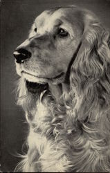 Stock #288520 Thumbnail