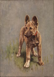 A German Breed, The Alsatian Postcard