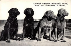 Four Dogs from Lisco Nebraska, the Ducklore Lodge Postcard