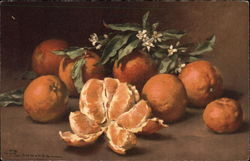 Oranges with Blossom Postcard