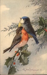 Robin and Blue Bird on Sprig of Holly Birds Postcard Postcard