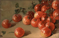 Painted Cherries Postcard