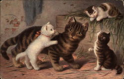 Cat and Kittens Postcard