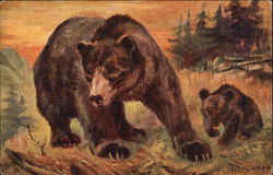 Grizzly Bear Postcard