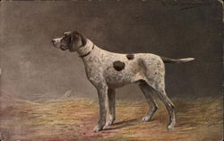 Stock #288742 Thumbnail