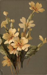 Primroses Postcard