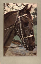 Horse with Harness Postcard