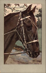 Horse with Harness Horses Postcard Postcard